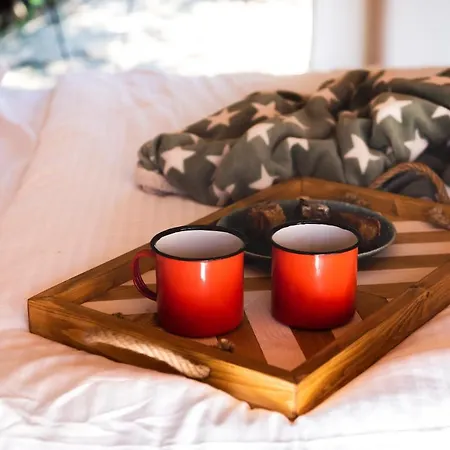 Forrest Glamping *
